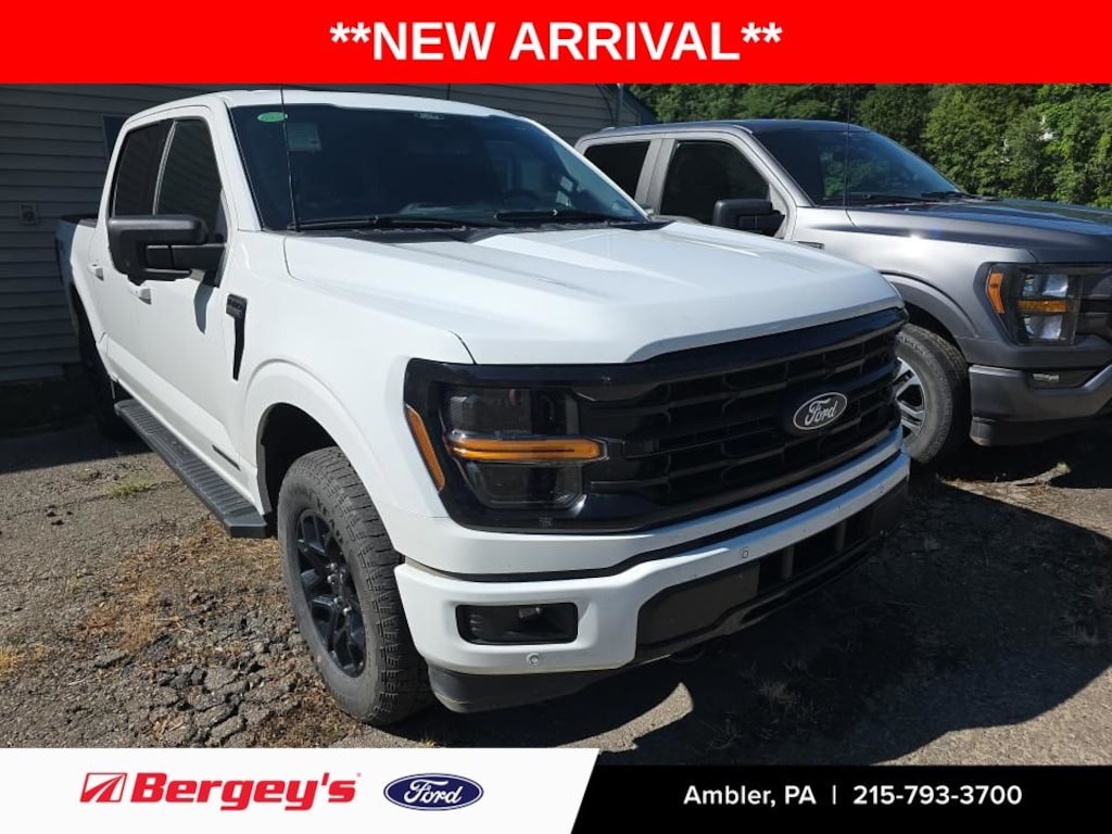 Used 2024 Ford F-150 XLT Truck