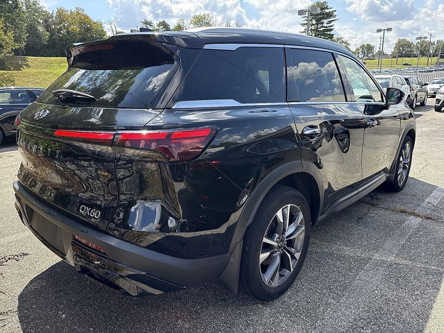 2024 Infiniti QX60 Luxe photo 2