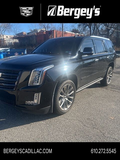 2020 Cadillac Escalade Platinum's photo