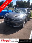 Dodge Hornet