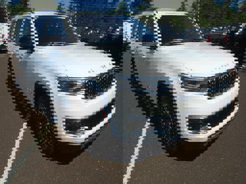 1C4SJSDP2PS540652