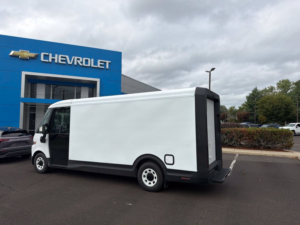 Used 2024 Brightdrop Zevo 600 EJY Van