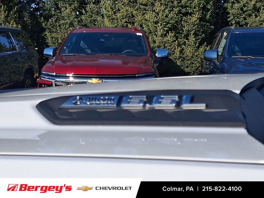 2025 Chevrolet Silverado 3500 HD Work Truck - Photo 19