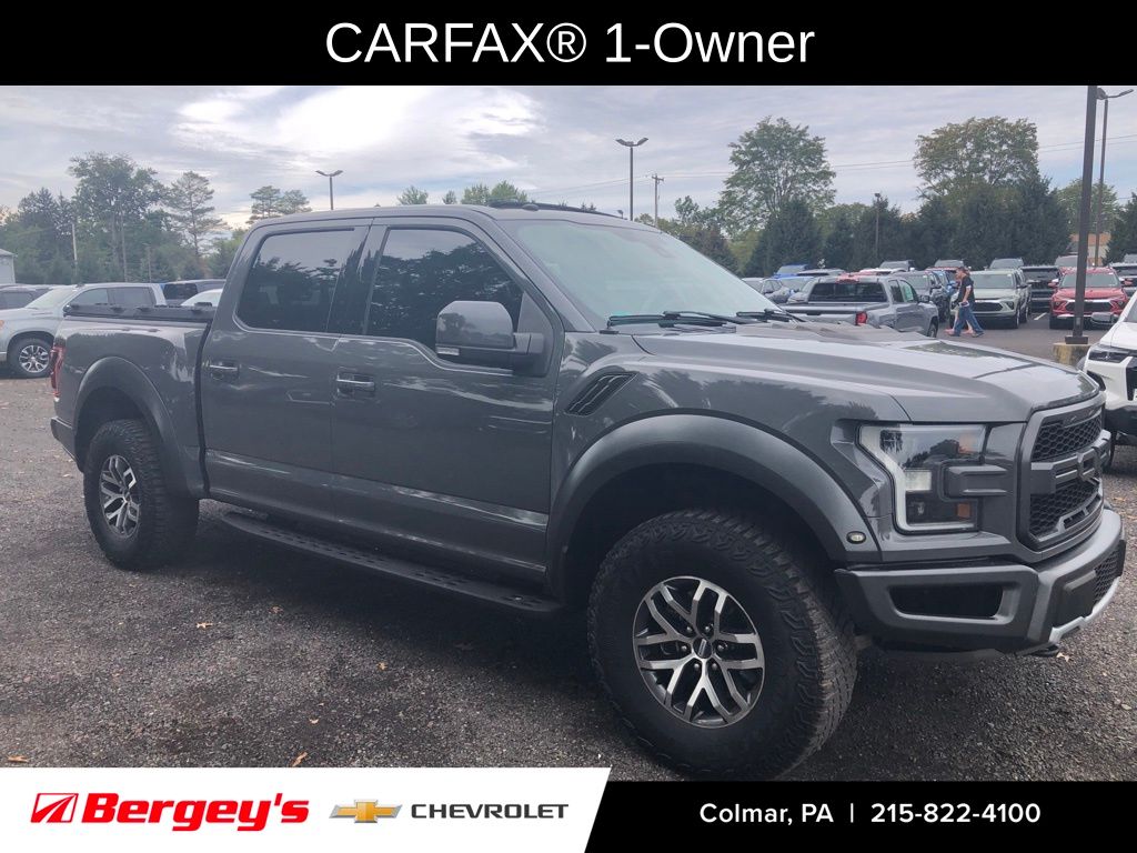 2018 Ford F-150 Raptor photo 2