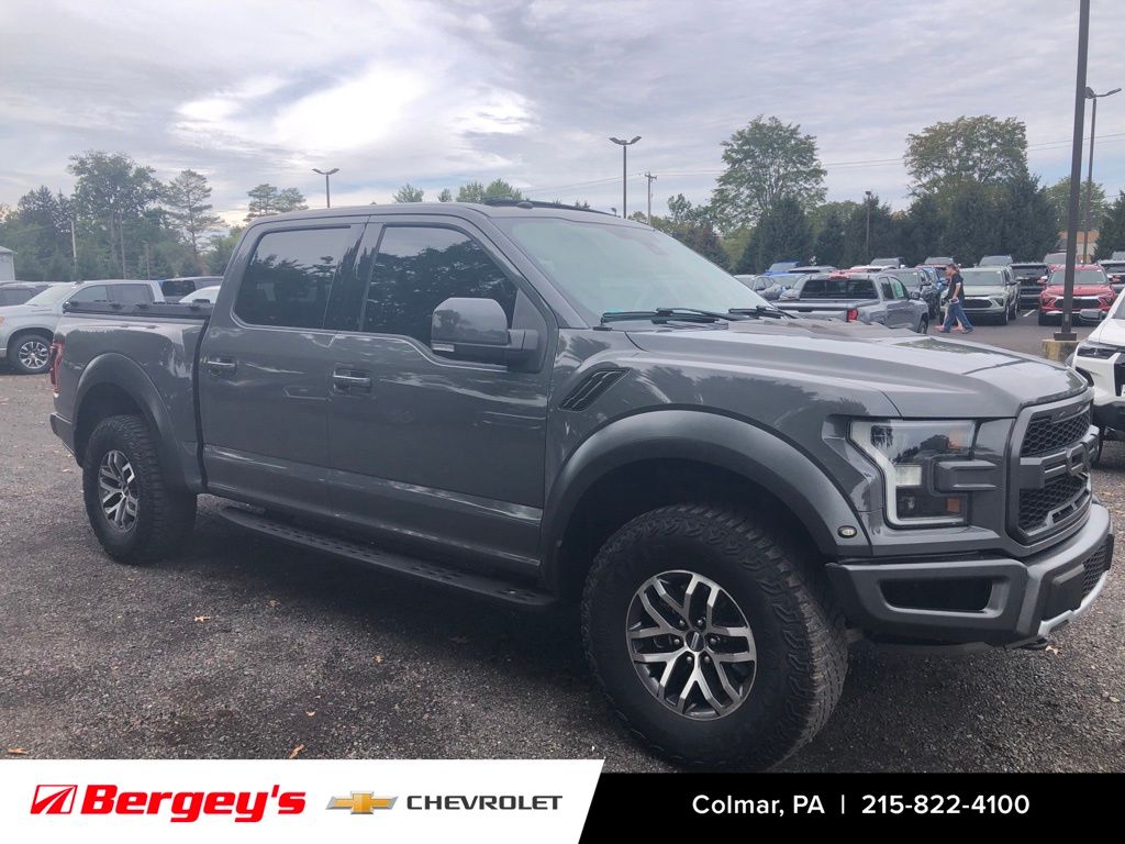 2018 Ford F-150 Raptor photo 3