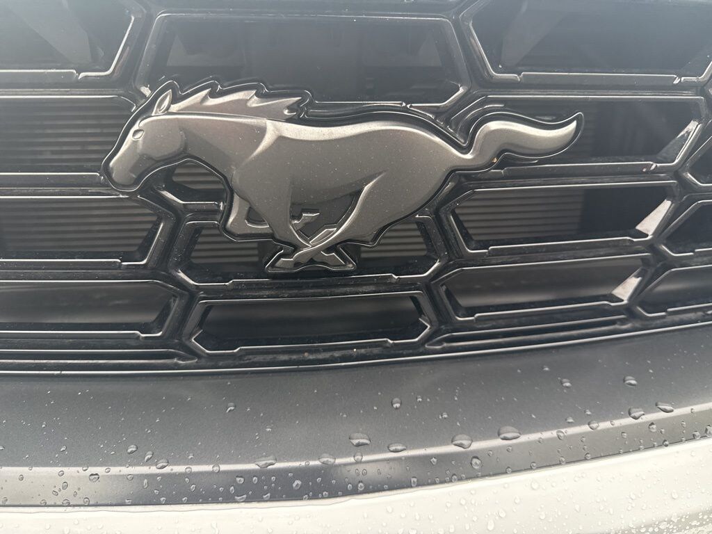 Used 2024 Ford Mustang Dark Horse Coupe