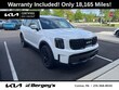  Kia Telluride