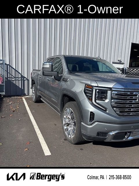 2024 Gmc Sierra 1500 Denali photo 3