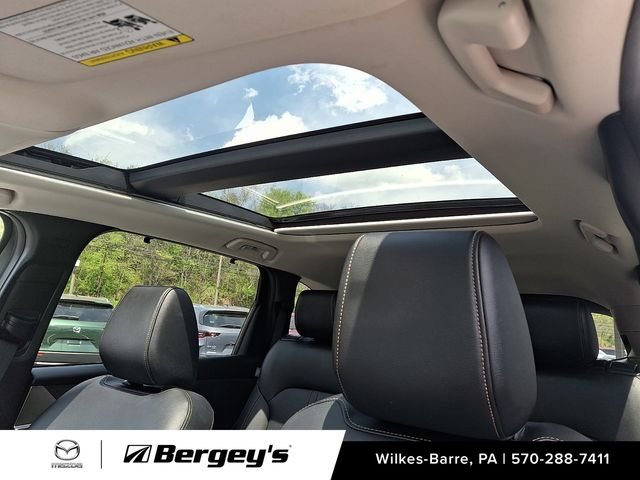 2024 Mazda CX-90 Premium Package - Photo 18