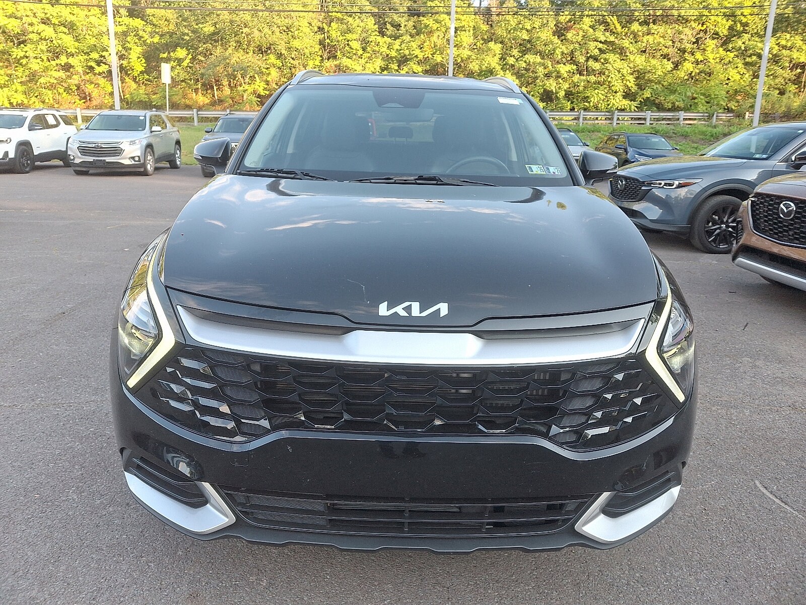 2023 Kia Sportage Hybrid EX photo 2