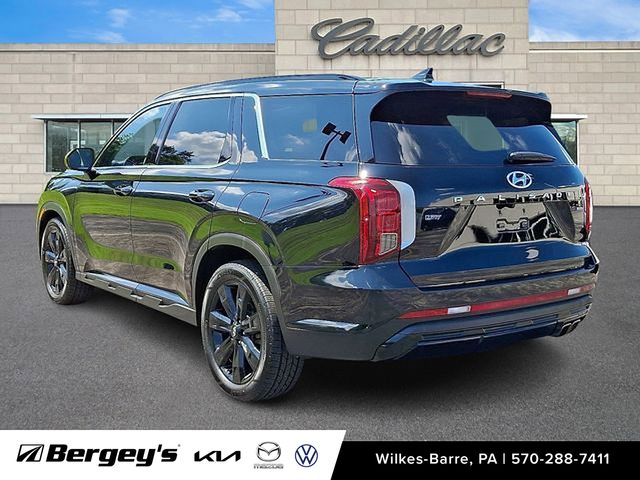 2024 Hyundai Palisade XRT photo 2