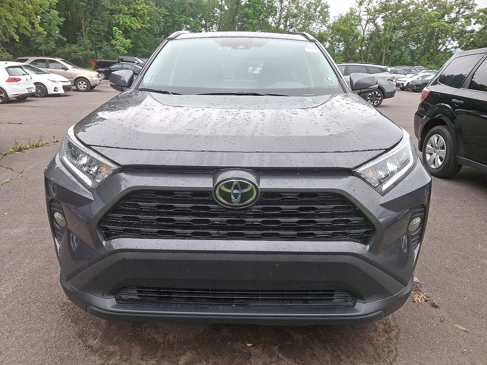 Used 2021 Toyota RAV4 XLE Premium with VIN 2T3A1RFV7MW217247 for sale in Northfield, Minnesota