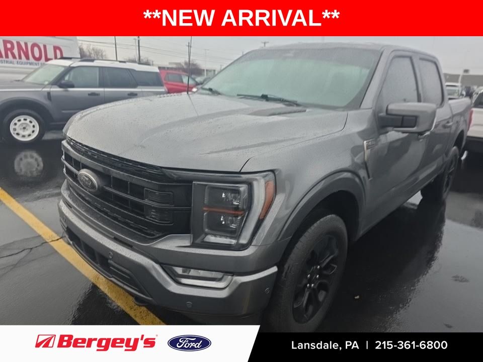 2023 Ford F-150 Platinum