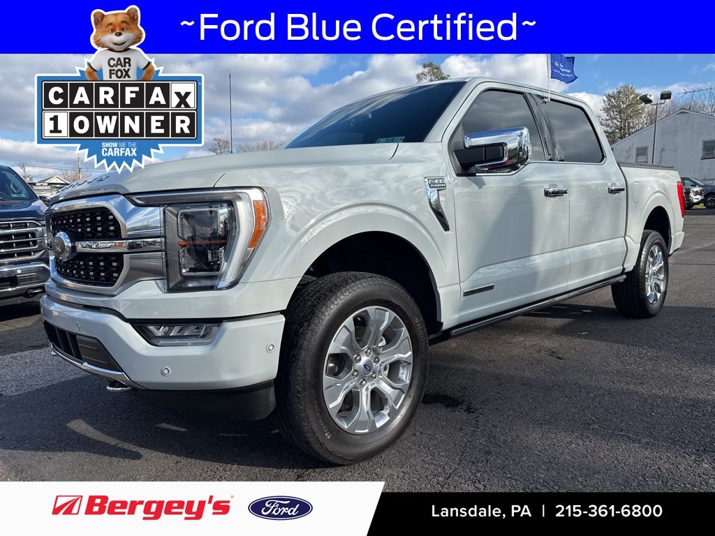2023 Ford F-150 Platinum's photo