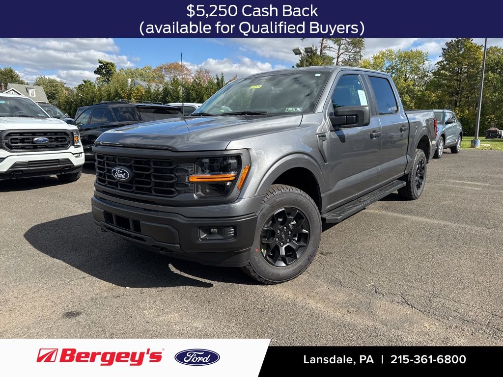 2025 Ford F-150 STX's photo