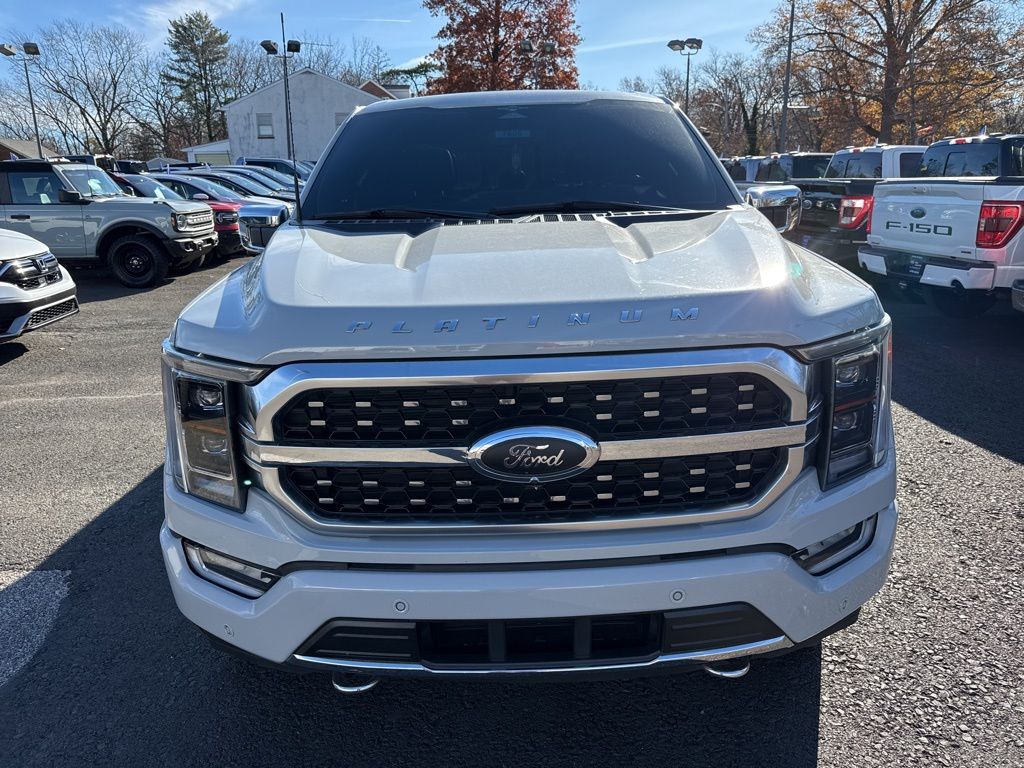 2023 Ford F-150 Platinum FX4 photo 2