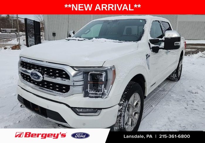 2023 Ford F-150 Platinum's photo