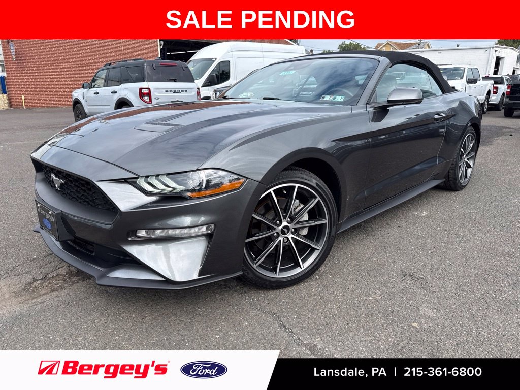 2019 Ford Mustang