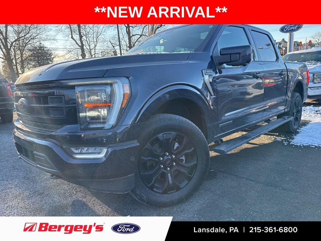 2023 Ford F-150 Platinum's photo