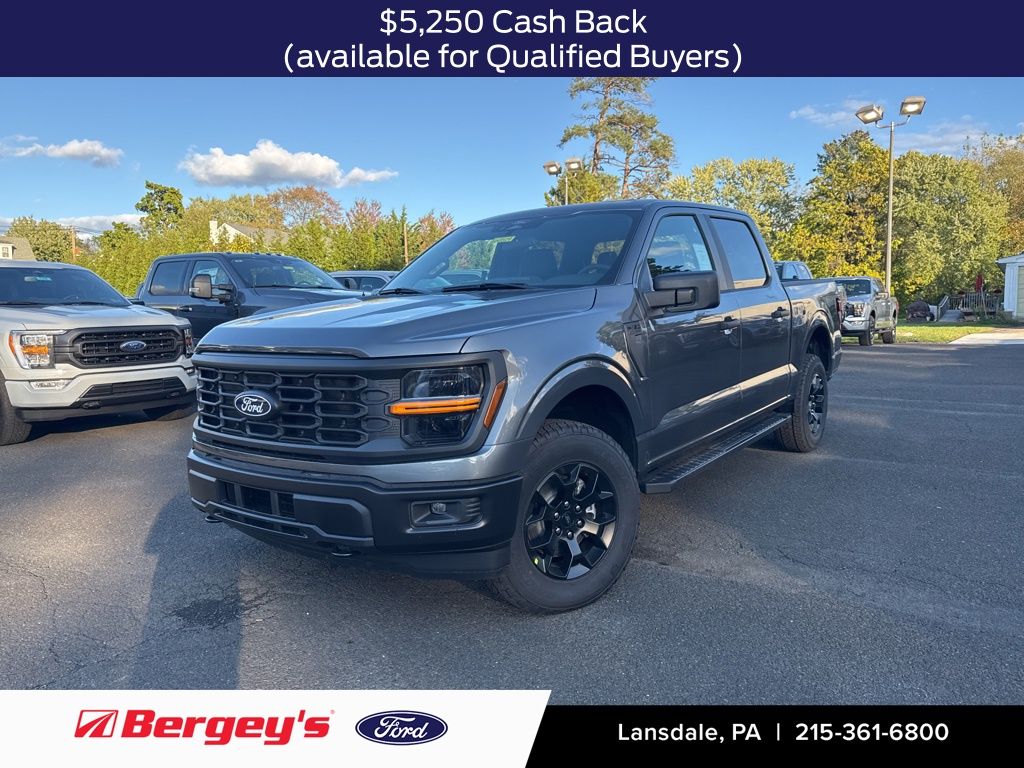 2025 Ford F-150 STX's photo