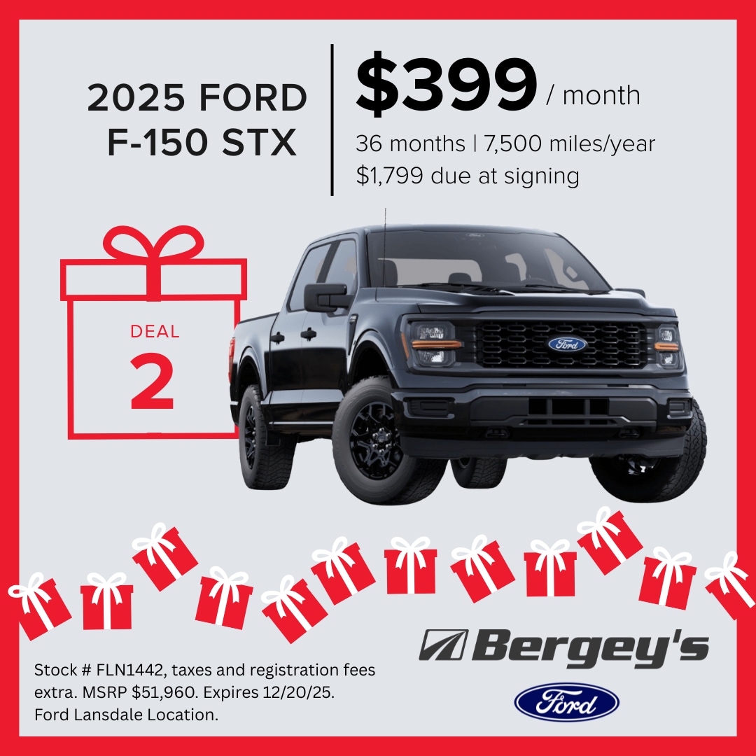 2025 Ford F-150 STX's photo