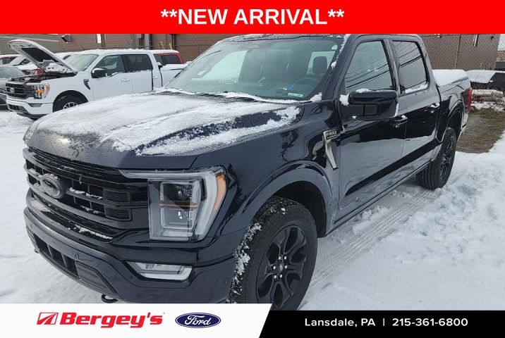 2023 Ford F-150 Platinum's photo