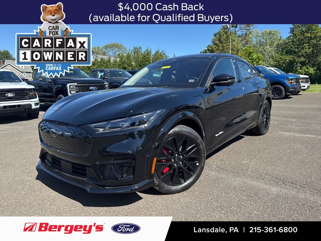 2025 Ford Mustang Mach-E Premium AWD's photo