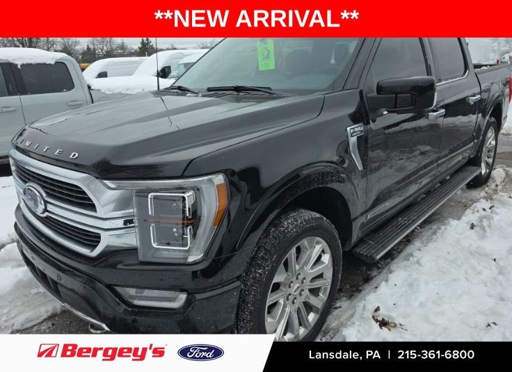 2023 Ford F-150 Limited's photo