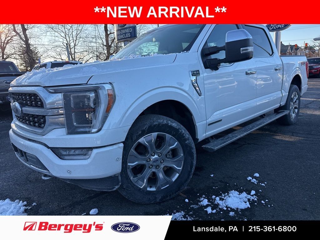 2023 Ford F-150 Platinum's photo