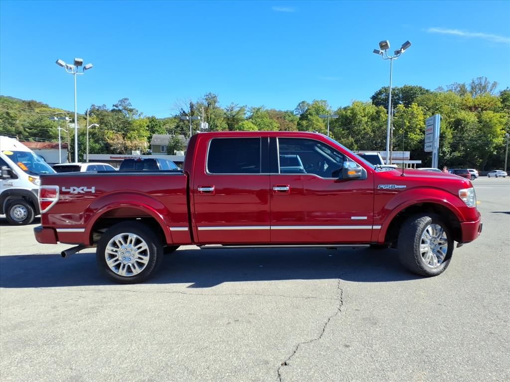 2013 Ford F-150 Platinum photo 3