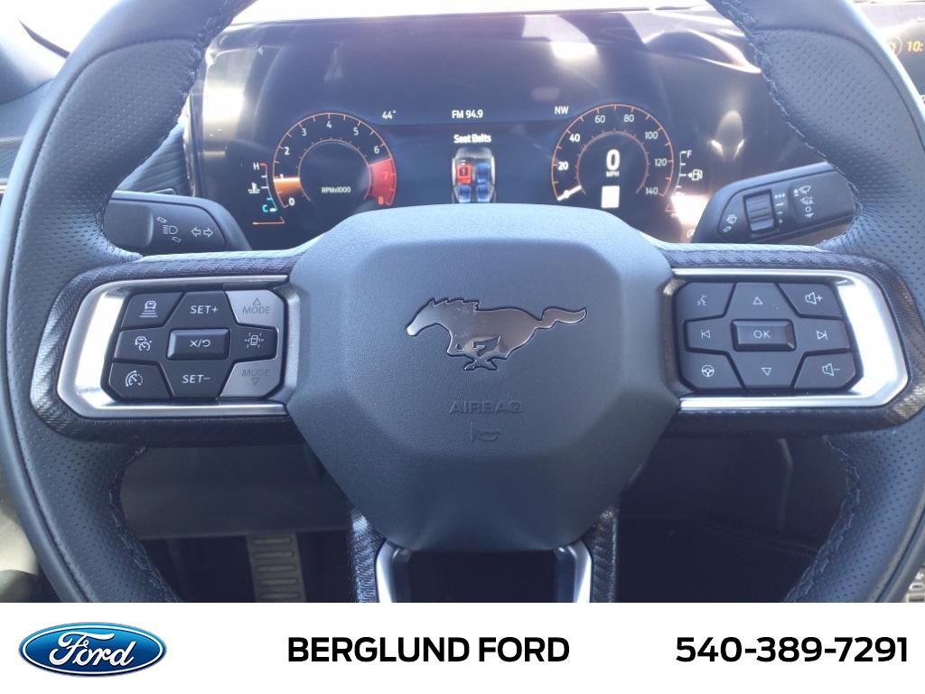 2025 Ford Mustang EcoBoost Premium Fastback - Photo 16