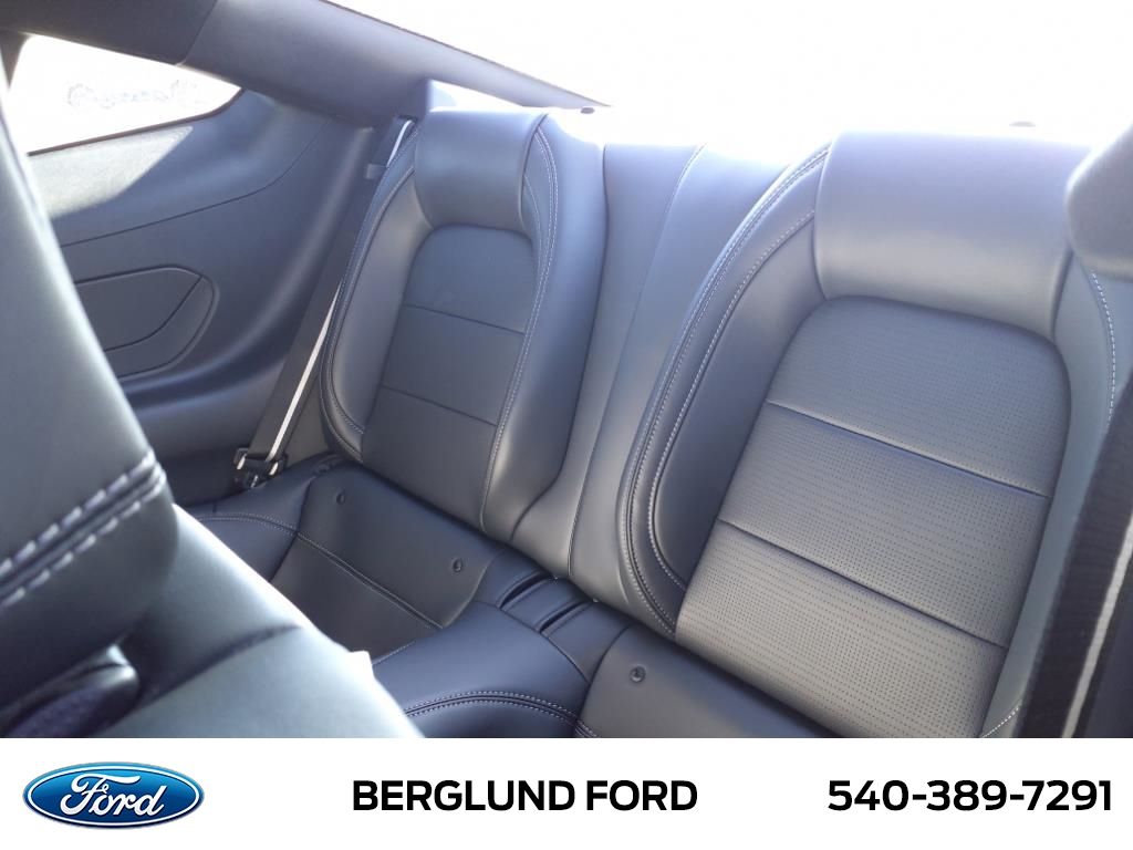 2025 Ford Mustang EcoBoost Premium Fastback - Photo 14