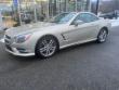 2013 Mercedes-Benz SL-Class SL550 Convertible
