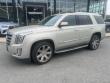2015 Cadillac Escalade Premium Sport Utility