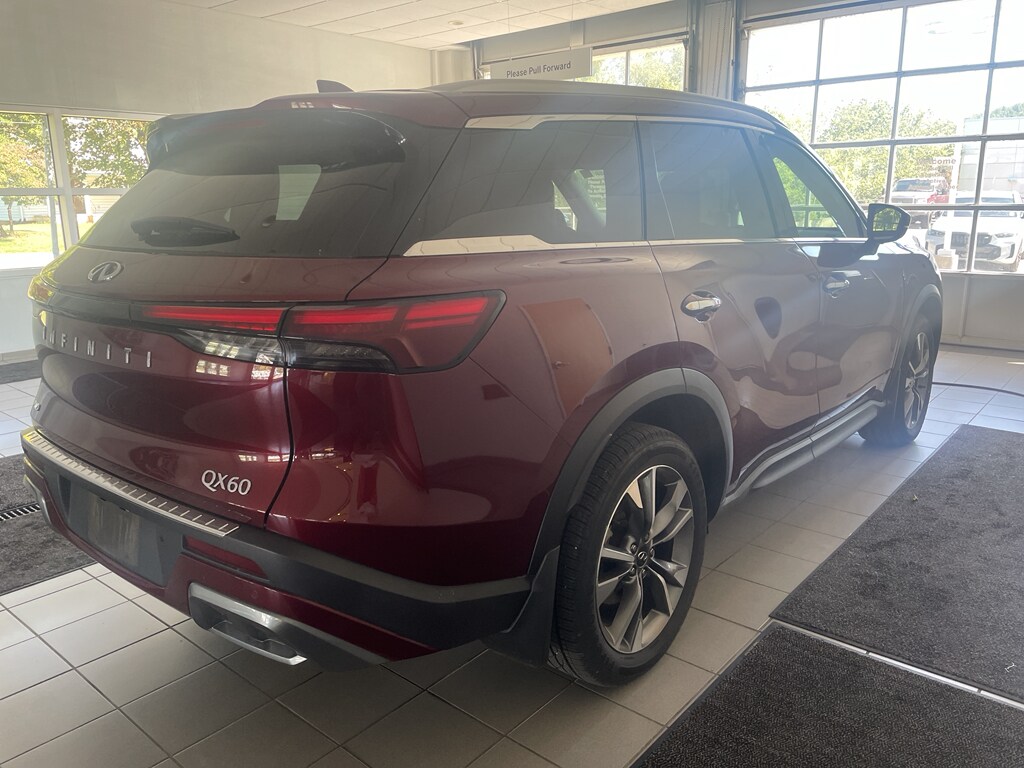 2022 Infiniti QX60 Luxe photo 2