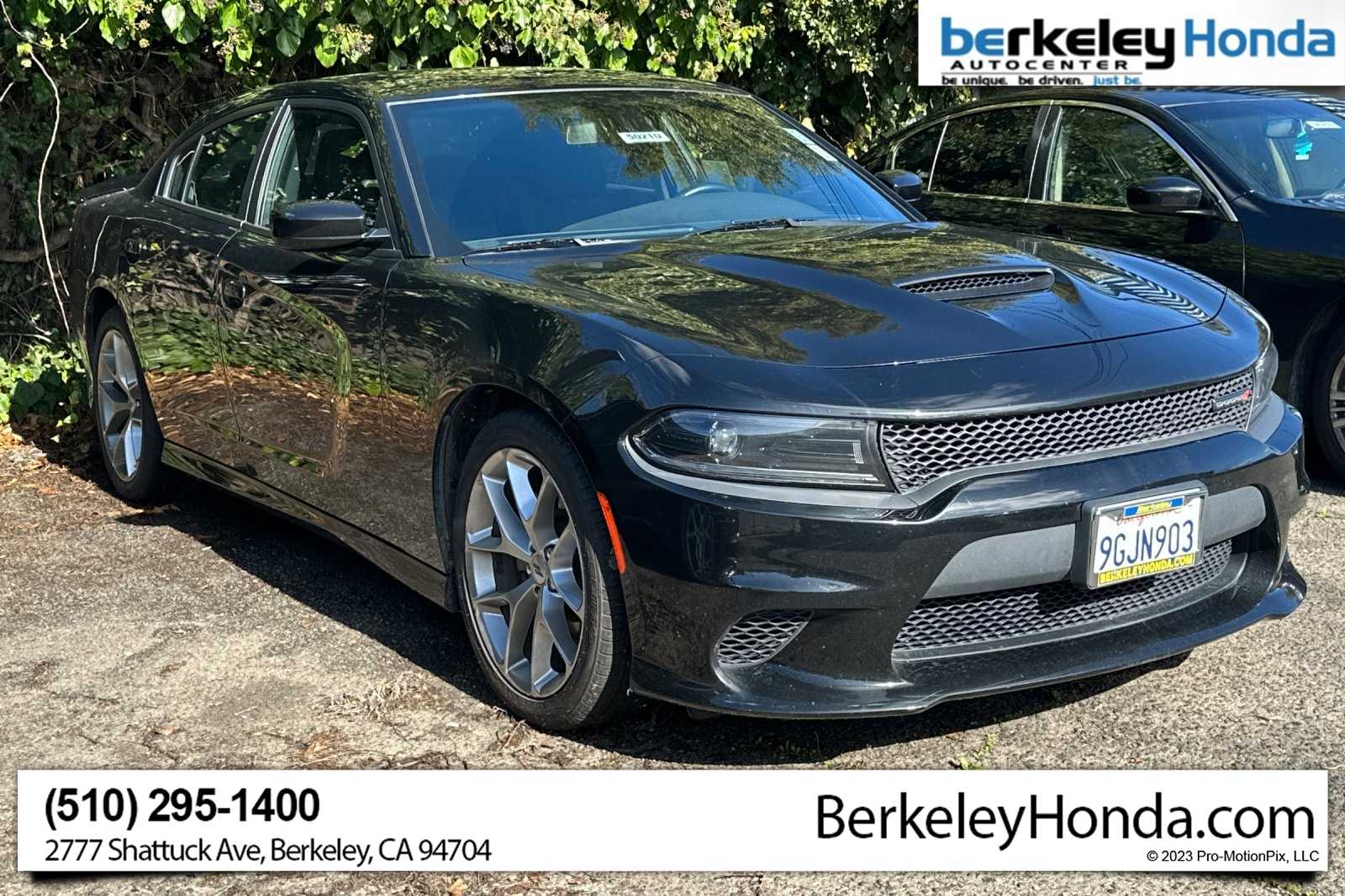 2023 Dodge Charger GT's photo