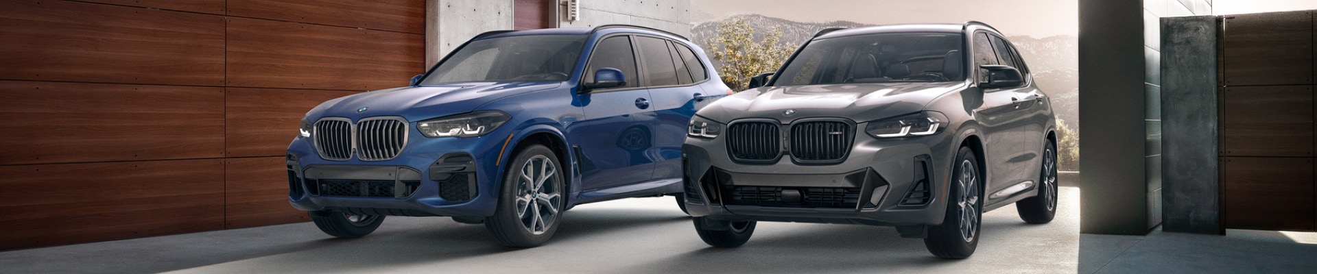 New BMW X5 on the left and a new BMW X3 on the right