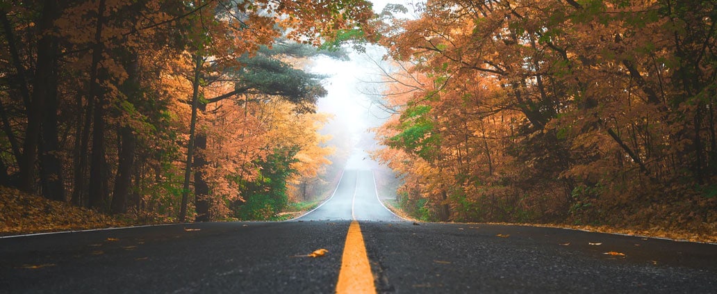 Road in the Fall