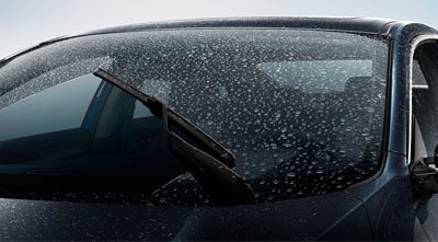 Rainy Windshield