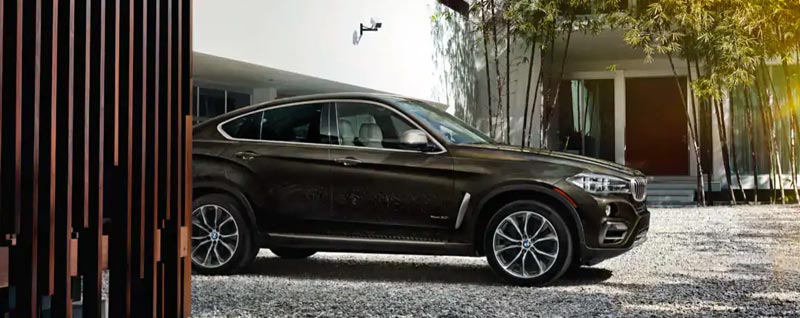 2019 BMW X6 Model