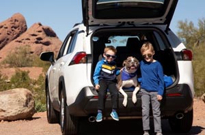 Humane Society Car Raffle