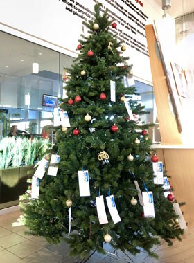 Camelback Toyota Christmas Tree