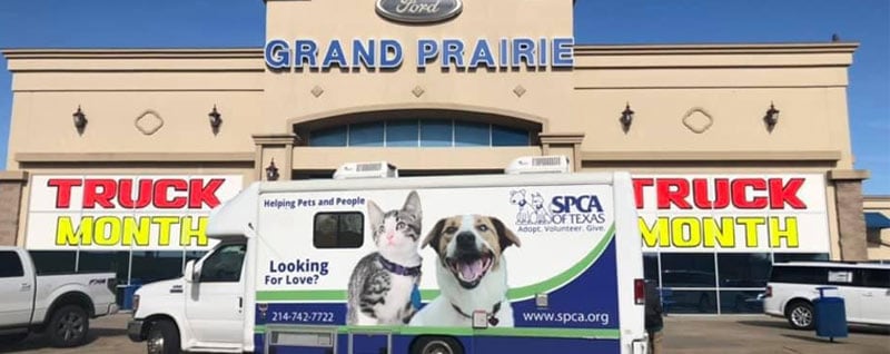 Grand Prairie Ford Pet Adoption Event Community Events In Grand Prairie Near Dallas Tx