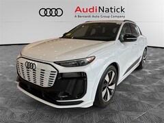 2025 Audi SQ6 e-tron Premium SUV