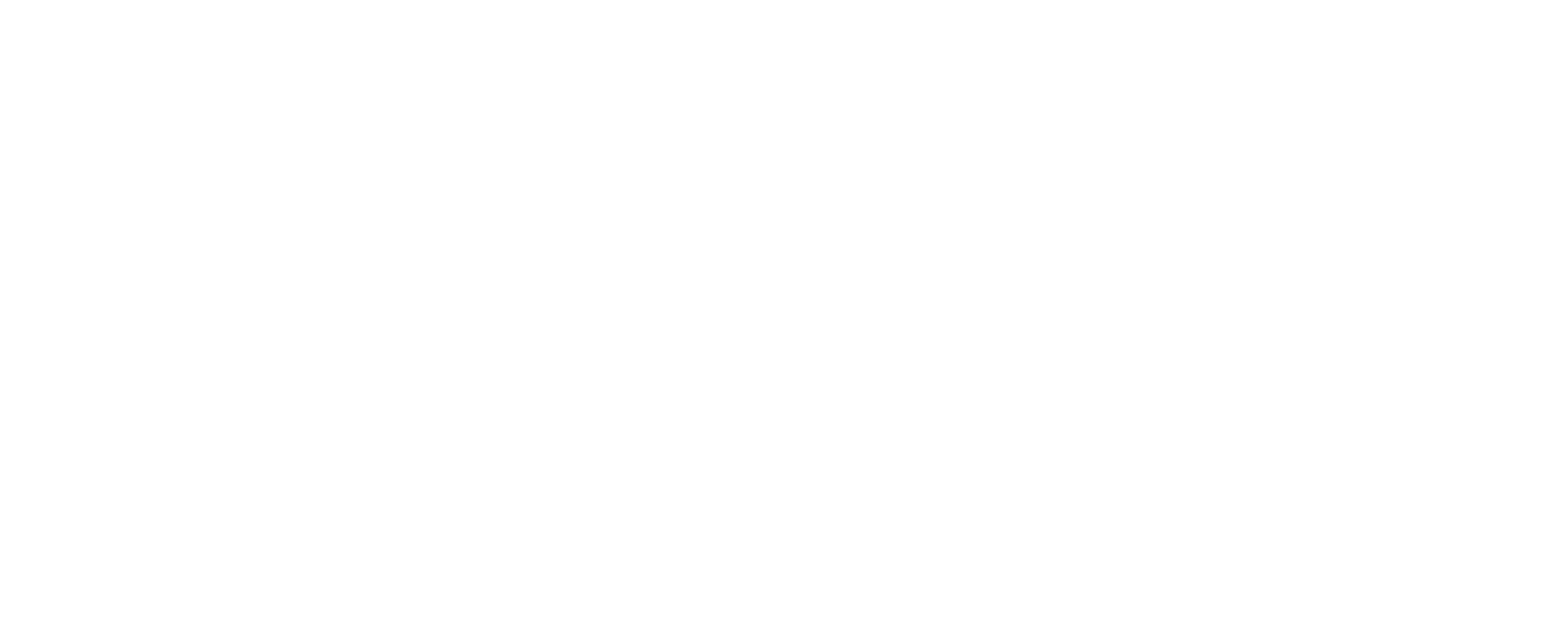 Bernardi logo