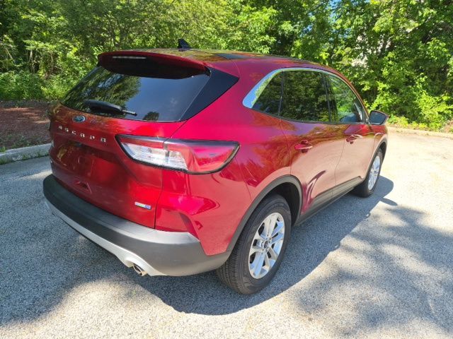 2020 Ford Escape SE - Photo 8
