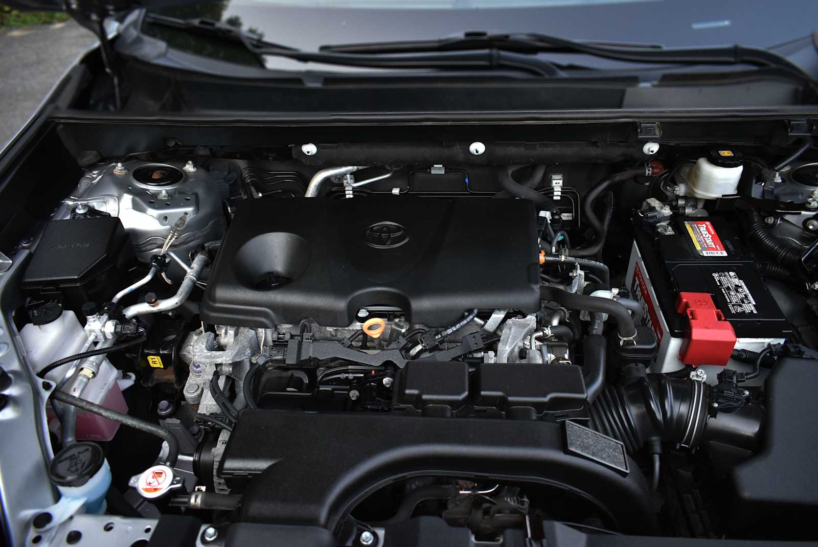 View 25