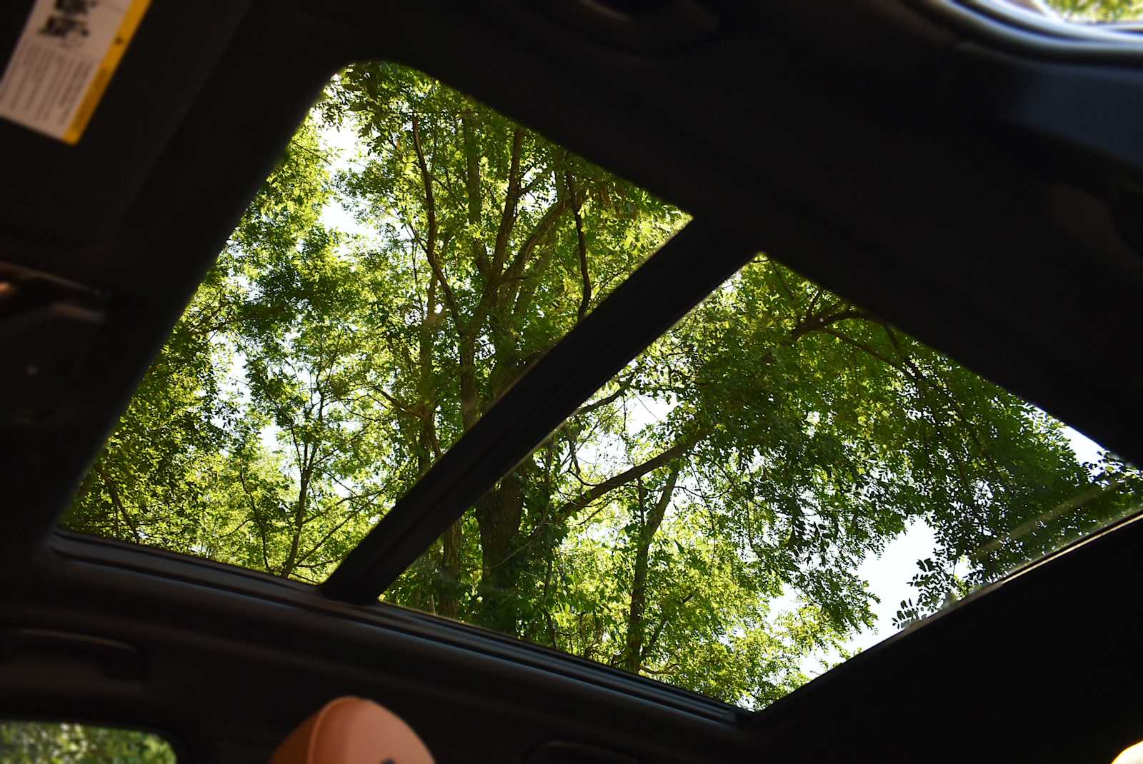View 14