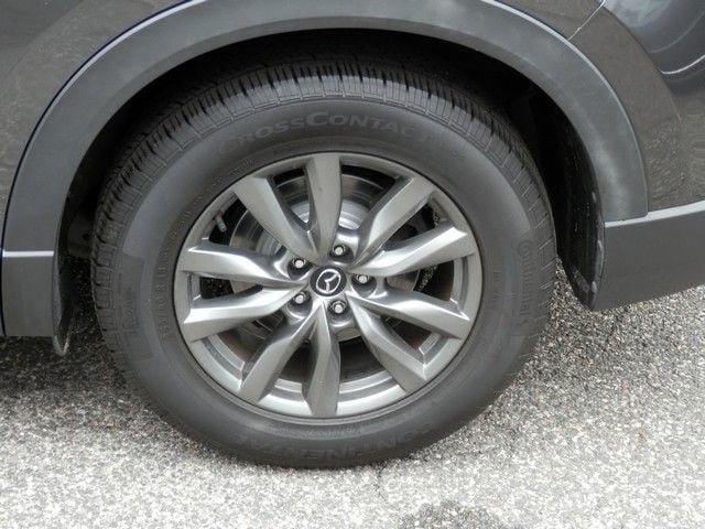Photo 12