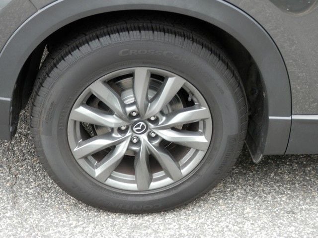 Photo 11